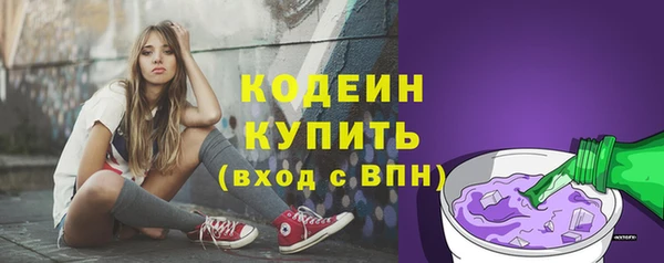 крисы Богородицк
