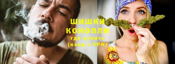 крисы Богородицк