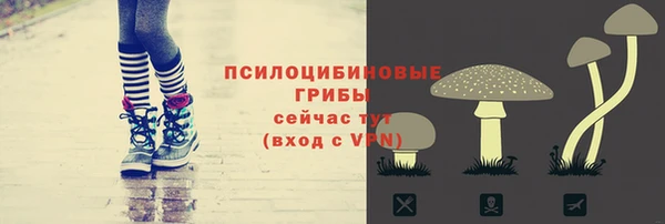 сатива Верея