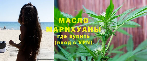 сатива Верея