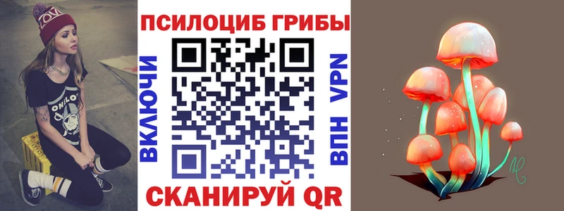 Псилоцибиновые грибы GOLDEN TEACHER  закладка  Верхотурье 